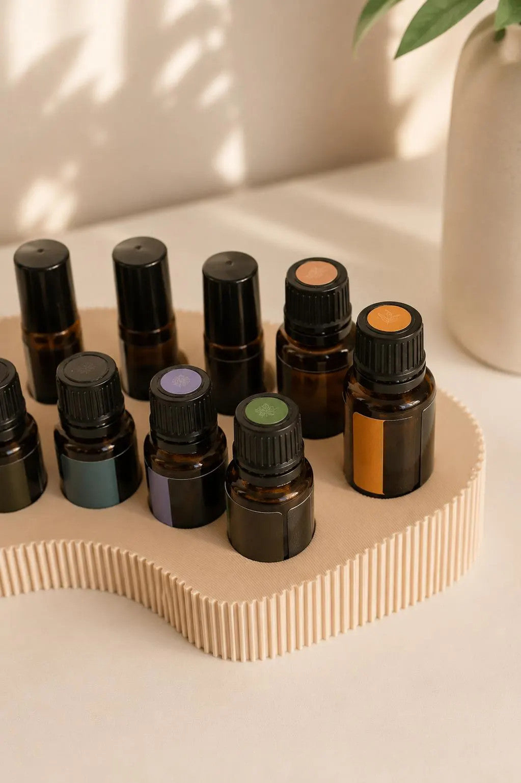 AROMA MOND für ätherische Öle | Kombinationshalter für 5ml, 10ml & 15ml + 115ml