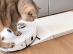 Robo-Rampe für Saugroboter | Türschwellen-Rampe | kompatibel mit Roborock, Dreame, MOVA, Ecovacs & Xiaomi